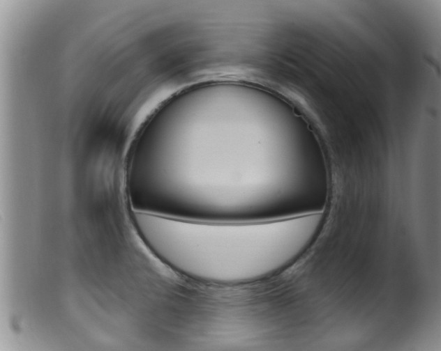 X0000099961424200805231015