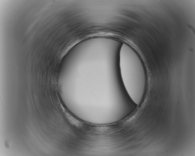X0000099961425200805231015