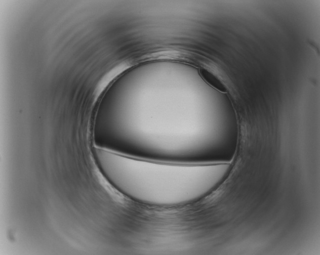 X0000099961426200805231015