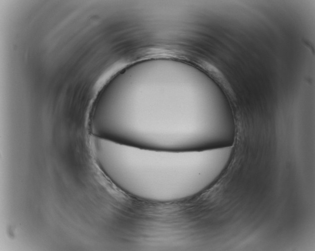 X0000099961427200805231015
