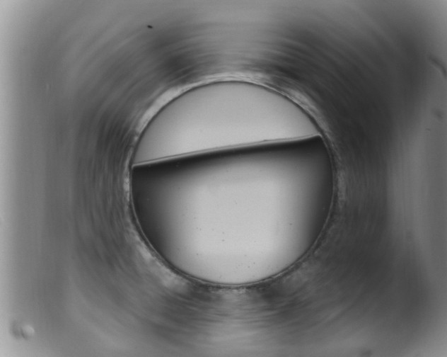 X0000099961428200805231015