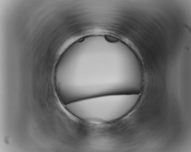 X0000099961429200805231015