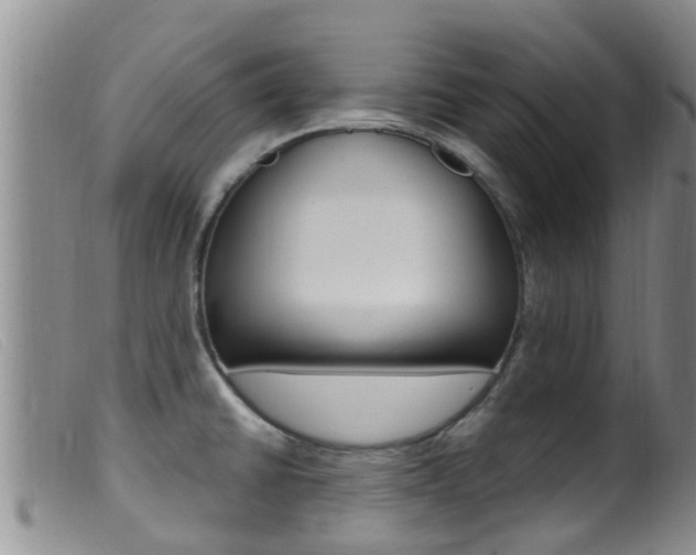 X0000099961430200805231015