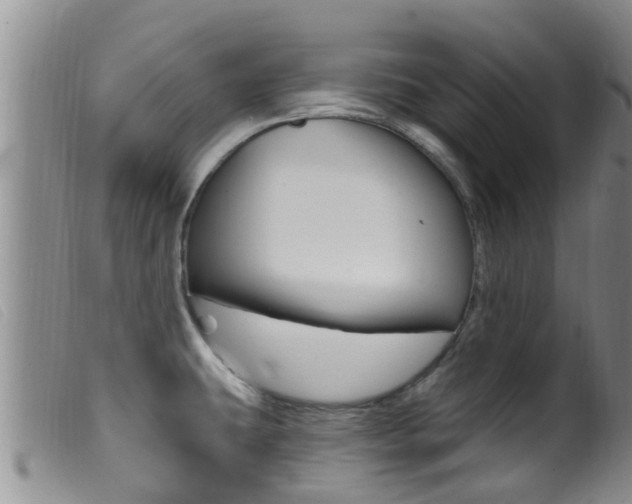 X0000099961431200805231015
