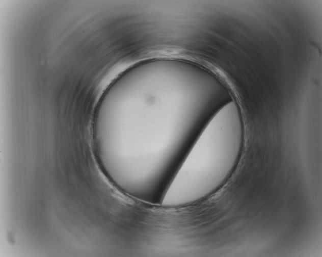 X0000099961432200805231015