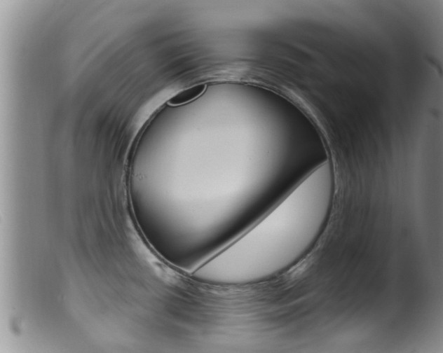 X0000099961434200805231015
