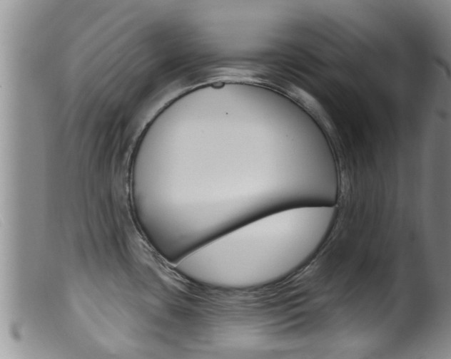 X0000099961435200805231015