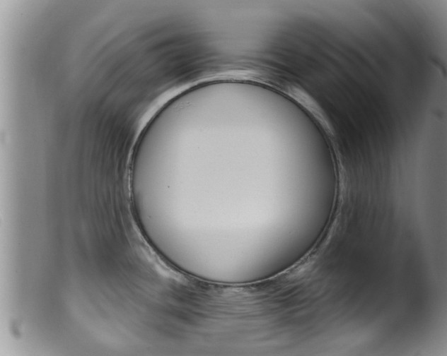 X0000099961436200805231015