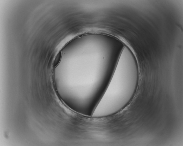 X0000099961437200805231015