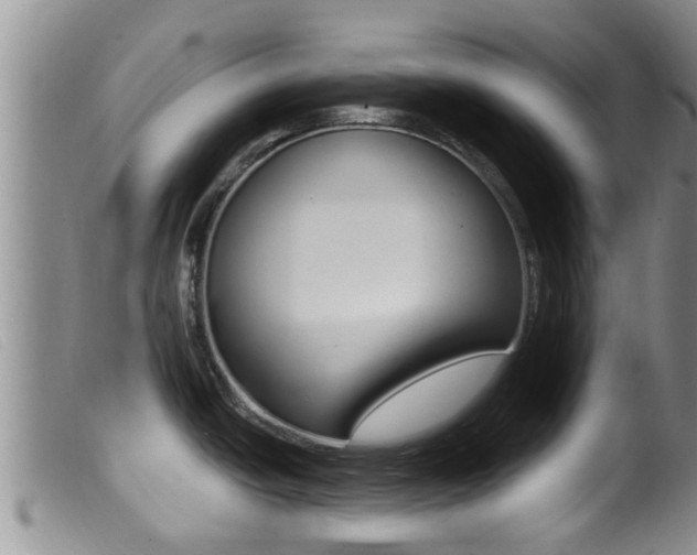X0000099961438200805231015