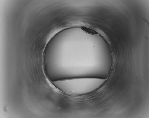 X0000099961439200805231015