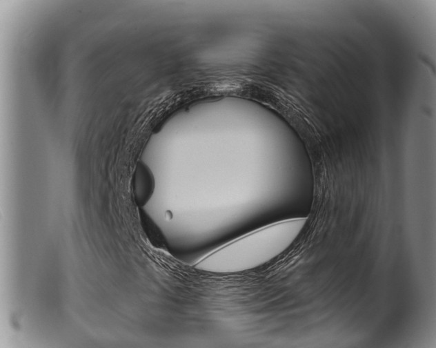 X0000099961441200805231015