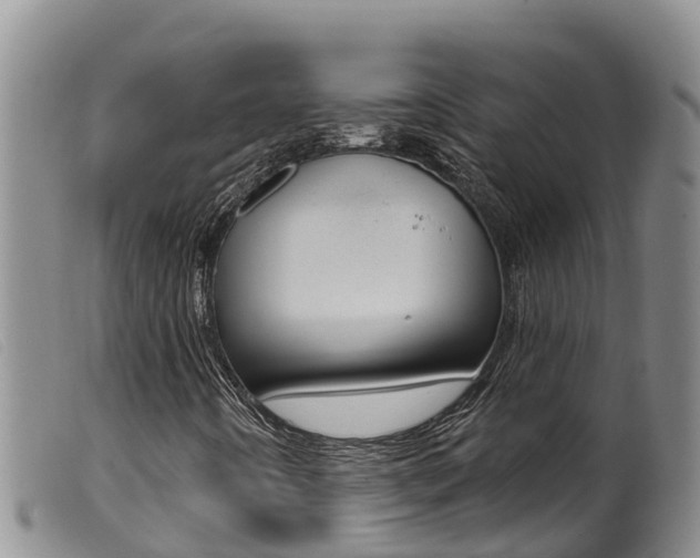 X0000099961442200805231015
