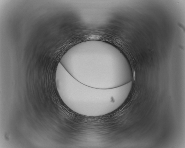 X0000099961443200805231015