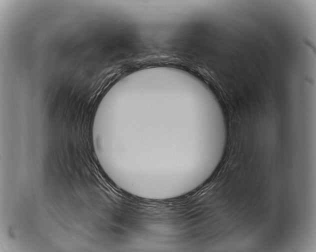 X0000099961444200805231015