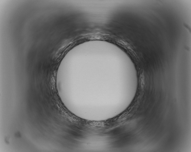 X0000099961446200805231015