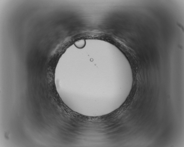 X0000099961447200805231014