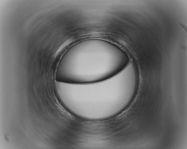 X0000099961450200805231014
