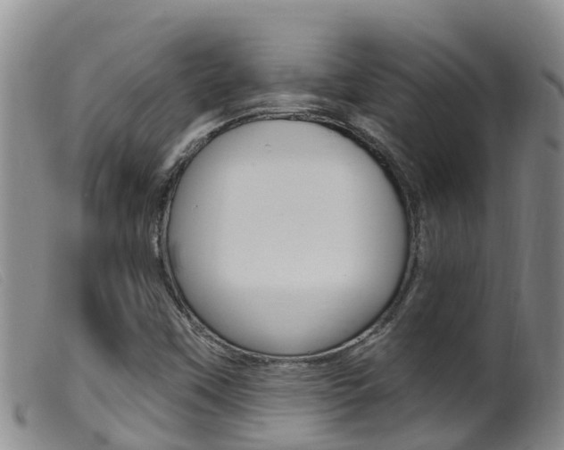X0000099961451200805231014