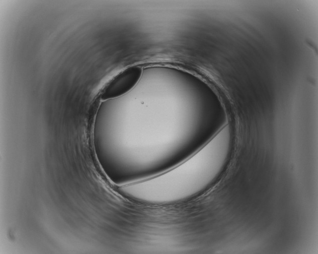 X0000099961452200805231014