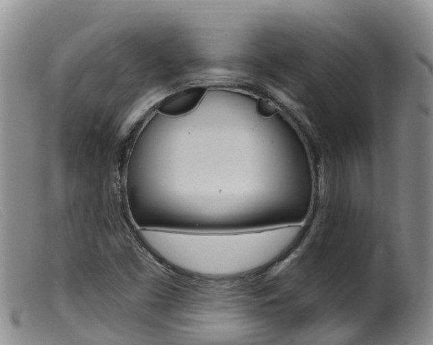 X0000099961453200805231014