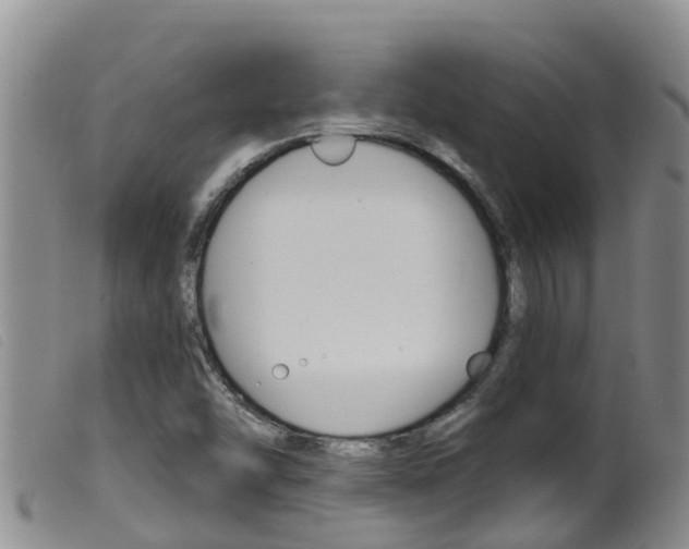 X0000099961454200805231014