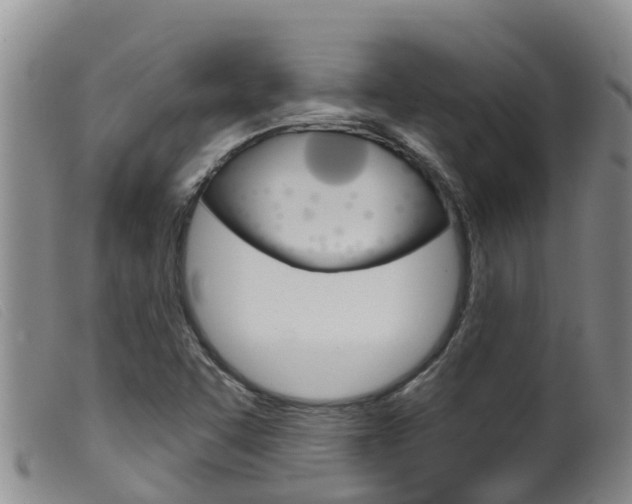 X0000099961455200805231014