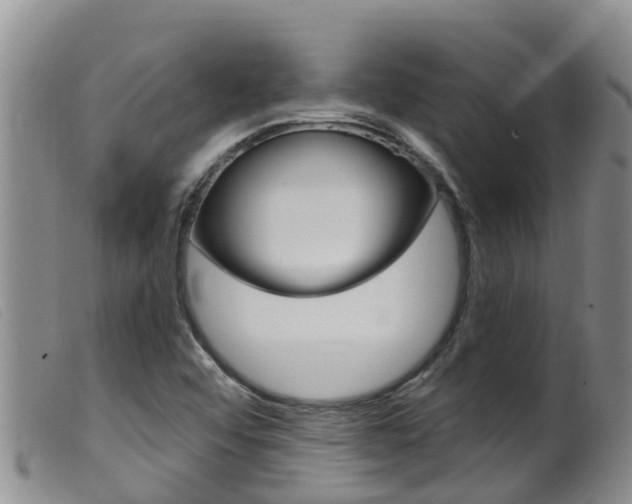 X0000099961456200805231014