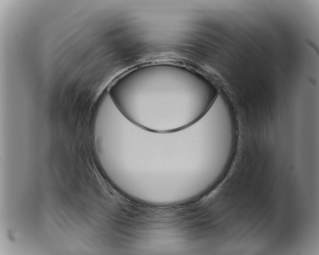 X0000099961457200805231014