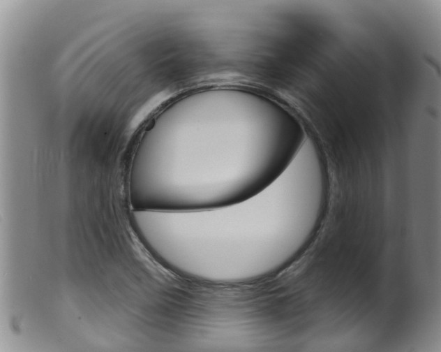 X0000099961458200805231014