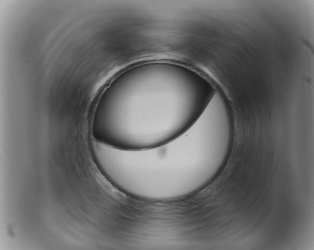 X0000099961460200805231014