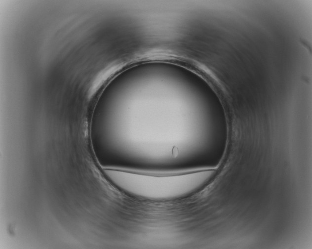 X0000099961461200805231014