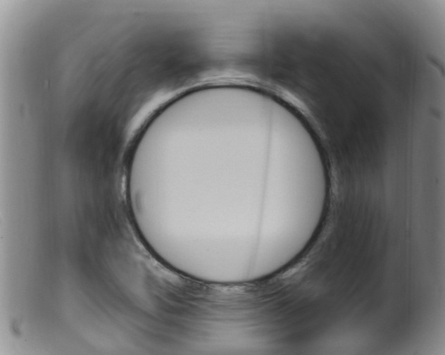 X0000099961462200805231014