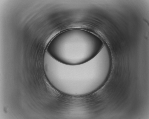 X0000099961465200805231014