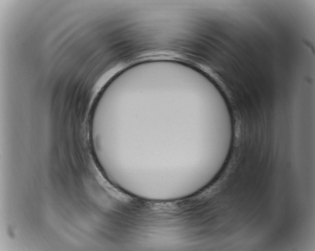 X0000099961466200805231014