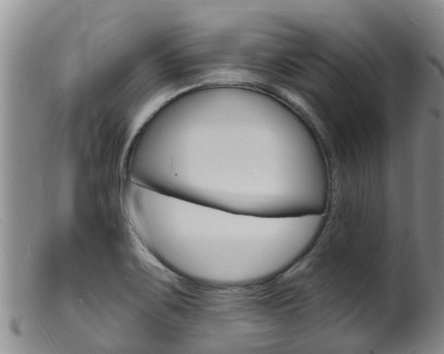 X0000099961467200805231014