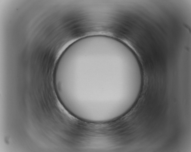 X0000099961468200805231014