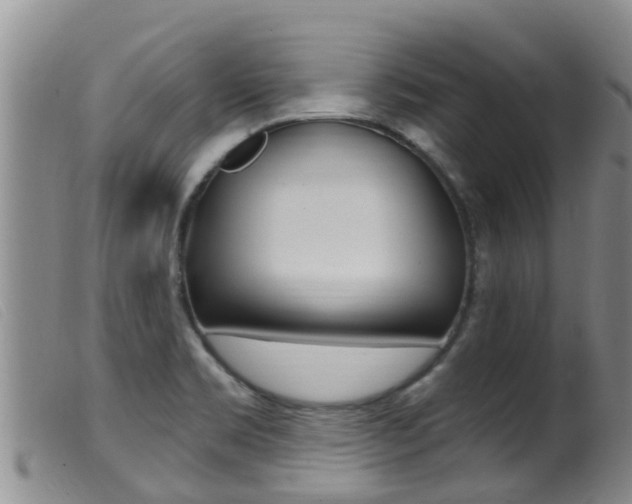 X0000099961469200805231014
