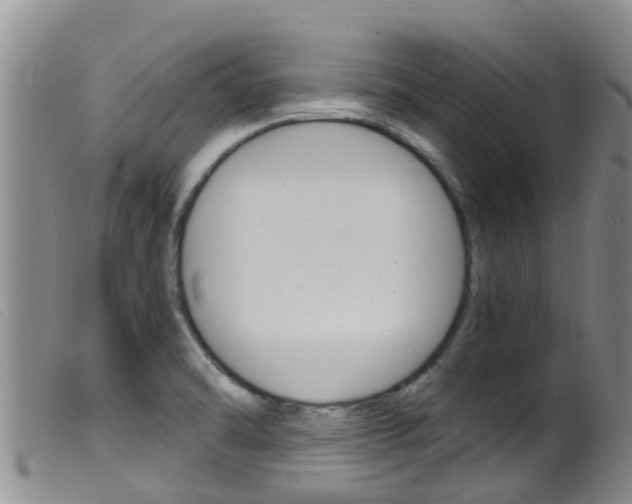 X0000099961470200805231014