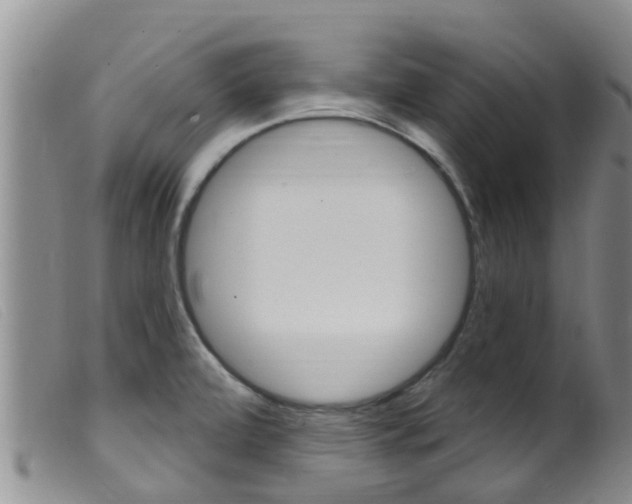 X0000099961472200805231014
