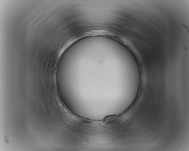 X0000099961473200805231014