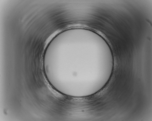 X0000099961474200805231014
