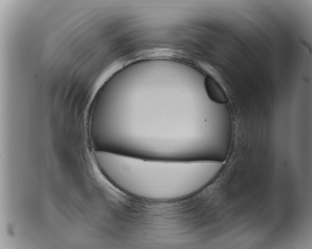 X0000099961475200805231014