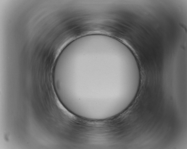 X0000099961476200805231014
