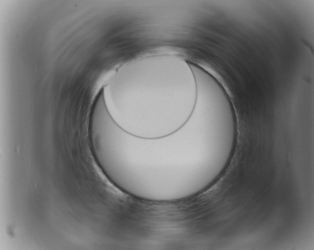 X0000099961477200805231014