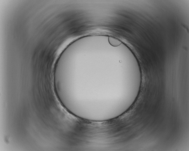 X0000099961478200805231014