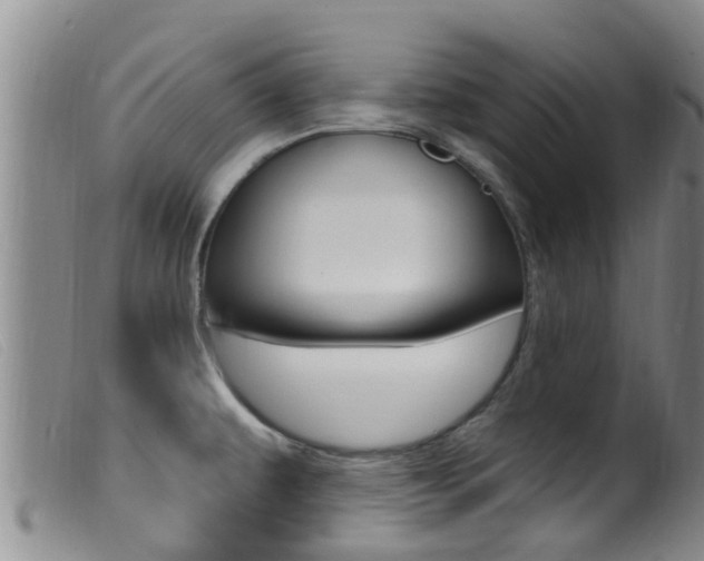 X0000099961479200805231014