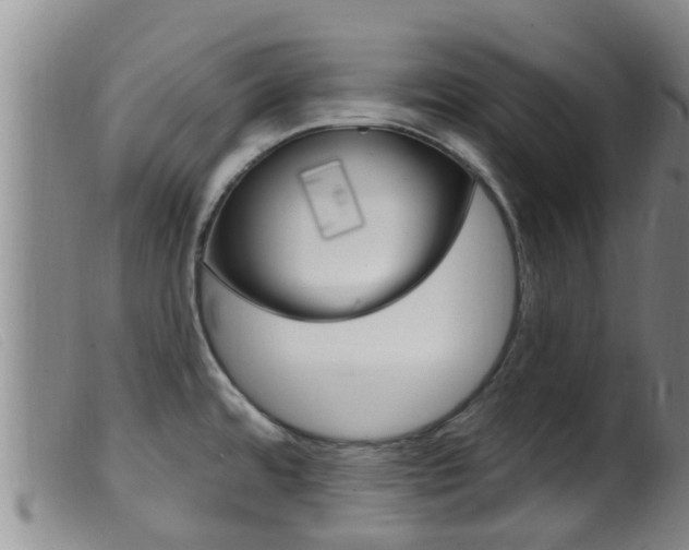 X0000099961480200805231014