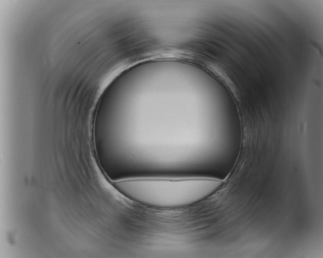 X0000099961483200805231014
