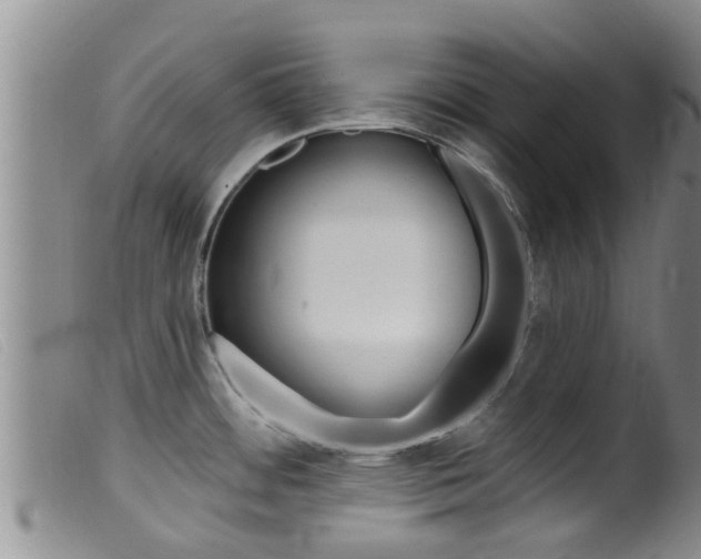 X0000099961484200805231014